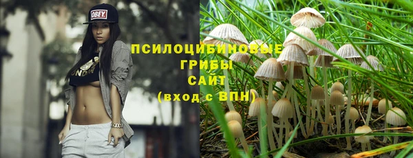 MDMA Premium VHQ Михайловск