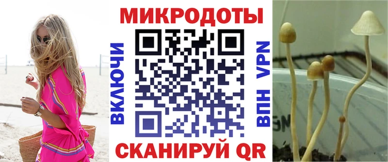 Галлюциногенные грибы Cubensis  как найти закладки  kraken сайт  Горячеводский 